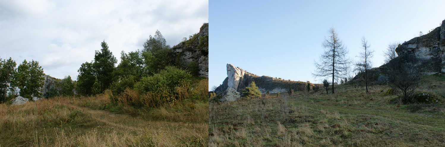 Wzgórze Cegielnia przed i po wycince resize