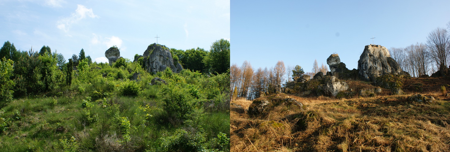 Wzgórze Kazupiec przed i po wycince resize